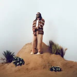 Album Art