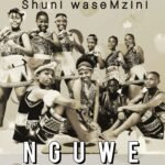 Shuni waseMzini