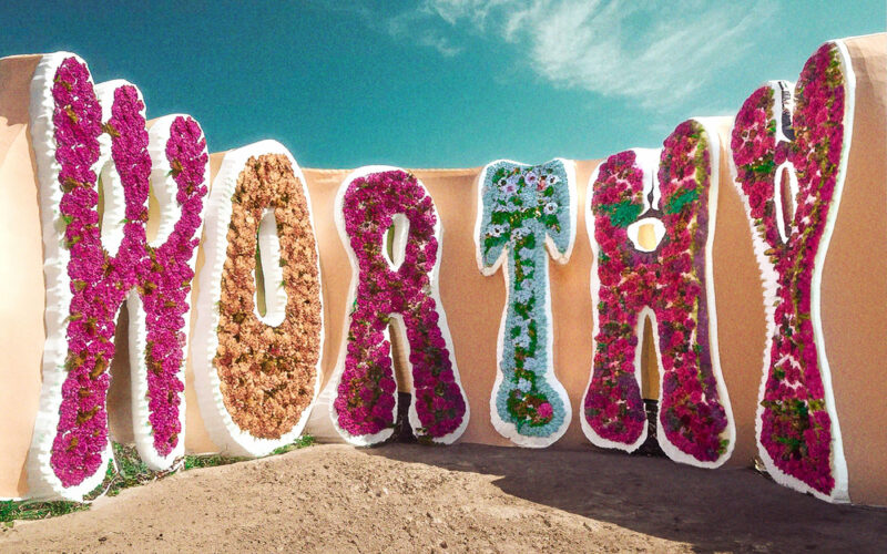 Read more about Worthy