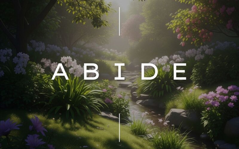 Read more about Abide